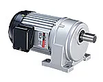 Động cơ giảm tốc ngang LH